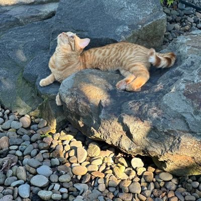 Jenlrog7Bigelow's profile picture. 