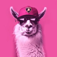 Lambo Llama (@lambollamameme) 's Twitter Profile Photo Lambo Llama (@lambollamameme) 's Twitter Profile Photo