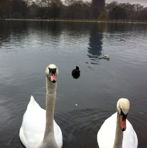 smadi67's profile picture. 