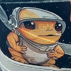 KAIZENKANE336's profile picture. 🐸🚀🌒