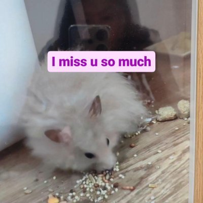 I love God I love my hamster I love BTS