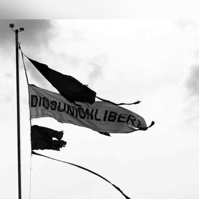 Antonio59511581's profile picture. Respeto toda ideología, favor respeten la mía. Más de 40 años de estar aprendiendo a vivir.