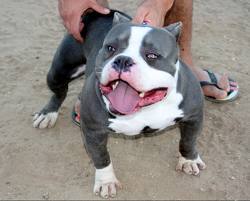 marc_starkz7's profile picture. 