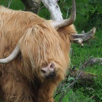 mark smith (@mark_smith59) 's Twitter Profile