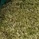 aaraushan05's profile picture. 