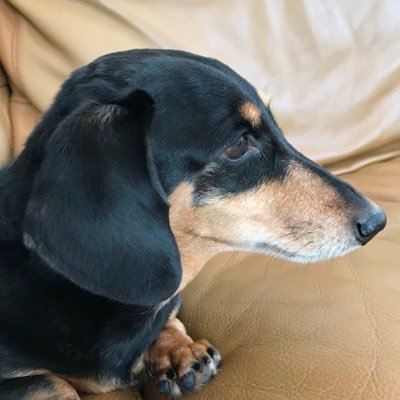 アニメや舞台等に関する気になる事を気ままに postします。 無言フォロー失礼します。 無言フォロー歓迎です。 好きな作品は リコリコ、青ブタ、ぼざろ、ユーフォ、ごと嫁、夏トン、アイの歌声、やが君、ささ恋、新海誠監督作品。 最推し #河内美里 さん、推し #本西彩希帆 さん、 #大森未来衣 さん