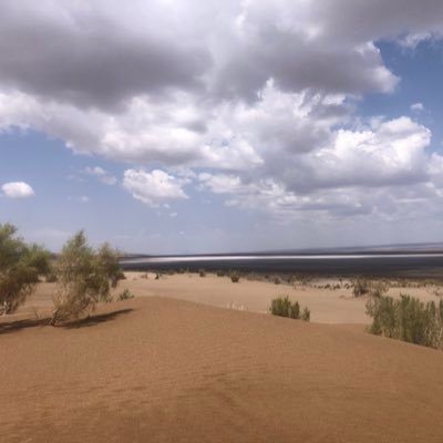 Mozaffari1984's profile picture. 