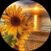 Sammie Sue02 (@frankiefroodle1) Twitter profile photo Sammie Sue02 (@frankiefroodle1) Twitter profile photo