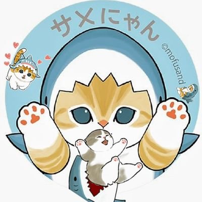 浅谷京さんのプロフィール画像