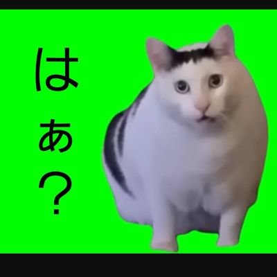 フェンさんのプロフィール画像