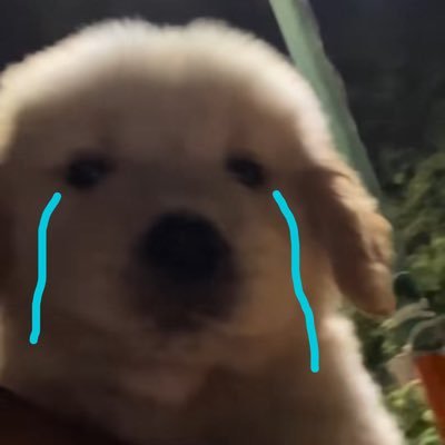 yourlilacs_'s profile picture. for shopping 🛍️💖