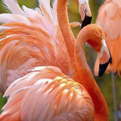 nadush_has23915's profile picture. 