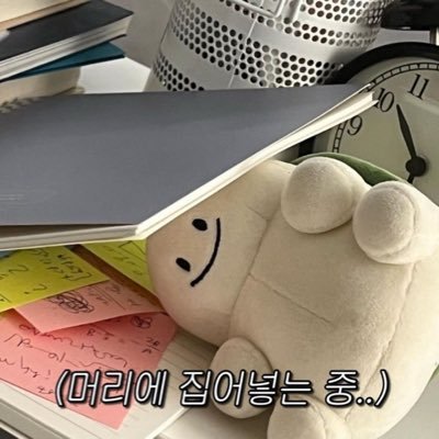 koteundev's profile picture. 🌱 개발자