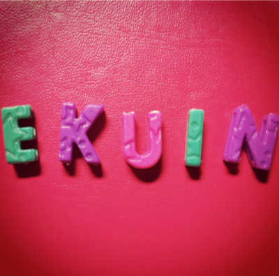 Biro EKUIN (Ekonomi dan Keuangan Internal) BEM FKG UI 2012/2013