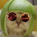 Gatolimón 🔱 (@elgatolimon) Twitter profile photo Gatolimón 🔱 (@elgatolimon) Twitter profile photo