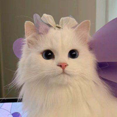 777yena's profile picture. 