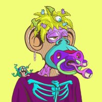 Ninja DAO | CryptoNinja (@cryptoninj87345) 's Twitter Profile
