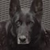 Nyn@ (@nyna80s) Twitter profile photo Nyn@ (@nyna80s) Twitter profile photo