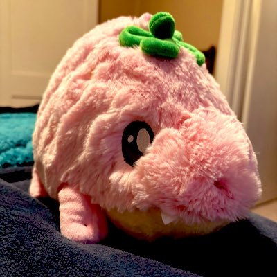 secret ramblings of the strawb croc plushie aka kailyn alt