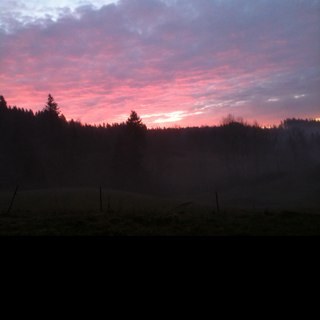 MamaNooks's profile picture. celeb-a-holic