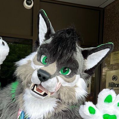 Happy go lucky Sabrewolf! Furry, Gamer, Tech! Furmeets, Con(s) and Nature photography! Taken: 💜💍@MistyBoo_wolf. Fursuiting since May 2024 @RandDfursuits