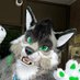 Corasik ๐Confuzzled (@corasik2) Twitter profile photo Corasik ๐Confuzzled (@corasik2) Twitter profile photo
