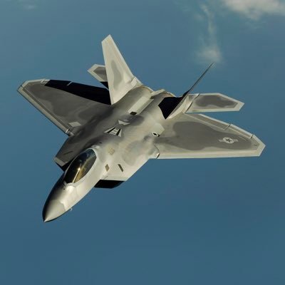 pontello_danial's profile picture. 