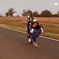 benja (@david_stunt13) 's Twitter Profile