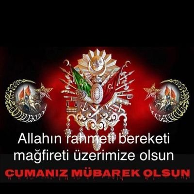 mehmetaltnsoy1's profile picture. 