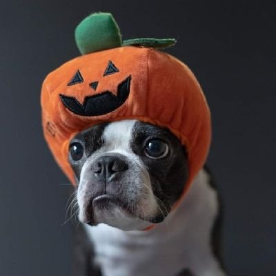 BolanosAleks's profile picture. Abogado Especializado - Hincha de la Mechita - 15 🚩🏆