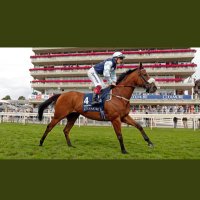 Callum Rodriguez (@callumrodrigue4) 's Twitter Profile