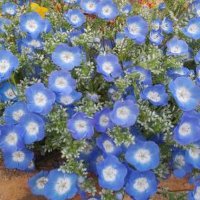 グラン・ジュテ (@mkmrqwv3oq96196) 's Twitter Profile