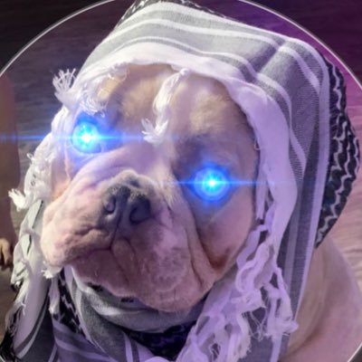 VinnyTheProblem's profile picture. They call me Kryptonite Vinny cause I’m so powerful not even Superman can touch me
