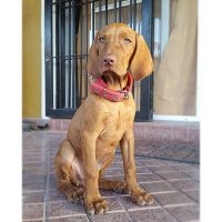 Dauert (@dauertof) 's Twitter Profile