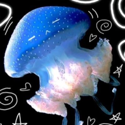 bubbl guts