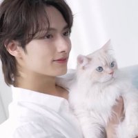 βπ (@jun_pipipi) 's Twitter Profile