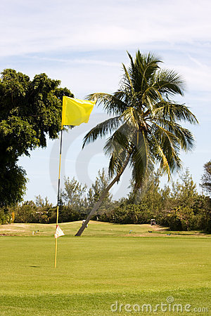 Interests: golf, beach, and Mexico.  Can’t wait for this year’s Mayakoba Golf Classic!