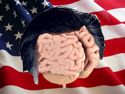 Romneys_Brain's profile picture. Straight talk directly from Mitt Romney's brain and/or humanoid brain-approximation unit 27UX3.