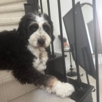 Cn (@nazzcrm) 's Twitter Profile