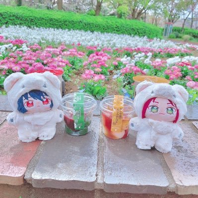 みーこ✿さんのプロフィール画像