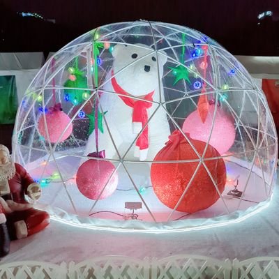 最推しは伊織あんさん✨土日祝関係なしの病院勤務のためリアタイ途中参加&寝落ち多め 2025の目標は常に幸せであること✌️