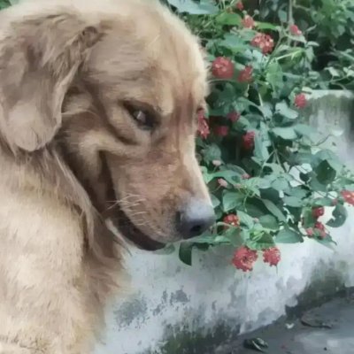 qweasdzxc722's profile picture. 