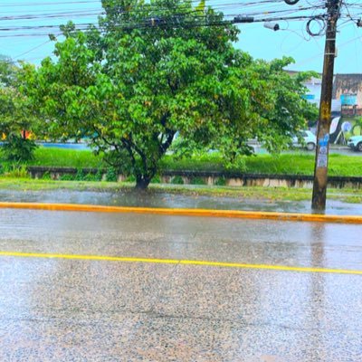 Gordeliciape's profile picture. Sou gordinho, 24 anos, versátil. Conexão, criatividade e carinho esperam por você aqui. Vamos nos divertir?