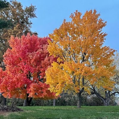 MarkMoreCrypto's profile picture. 