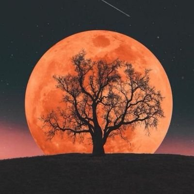 KBRHTMoran's profile picture. Soltera ;) Amante de los gatos