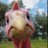 dreadneck's profile image