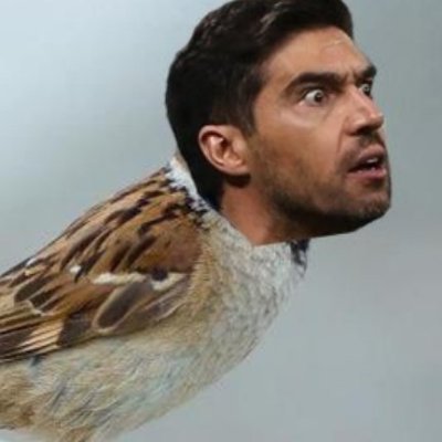 Pardalizado Profile Picture