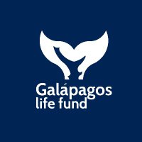 Galapagos Life Fund 🌊Conservación Marina (@galapagoslifef) 's Twitter Profile