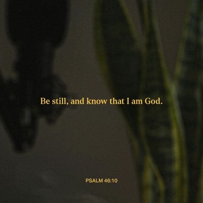 ntokozotshoaedi's profile picture. 