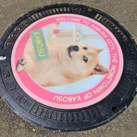 The Doge Academy ๐ถ๐ผ (@thedogeacademy) 's Twitter Profile